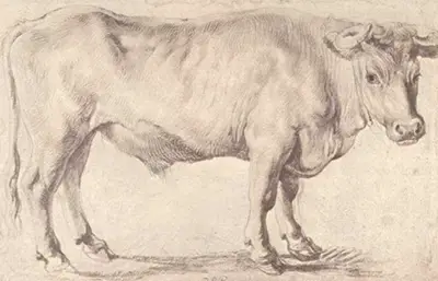Bull Peter Paul Rubens
